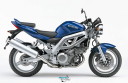 Suzuki_SV1000N_st2mzt.JPG