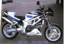 svx650rcuparspecialt.JPG