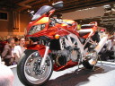 sv1000bnz2t.JPG