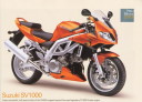 sv1000t.JPG