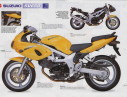 sv650-05-06t.JPG